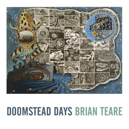 Doomstead Days  by Brian Teare at Abbey's Bookshop, 