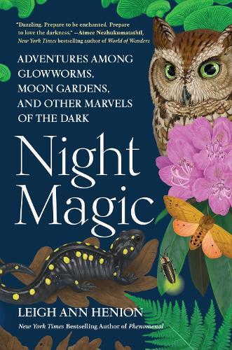 Night Magic  by Leigh Ann Henion at Abbey's Bookshop, 