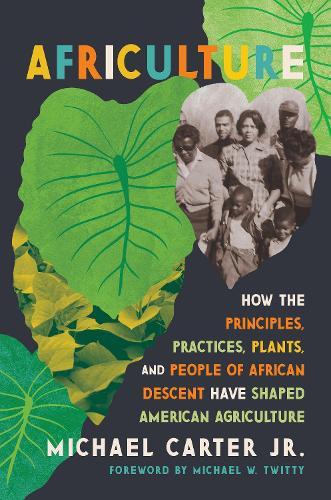 Quality and innovation in food chains: Lessons and insights from Africa