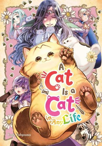 A Cat Is a Cat in Any Life  by Ema Toyama at Abbey's Bookshop, 