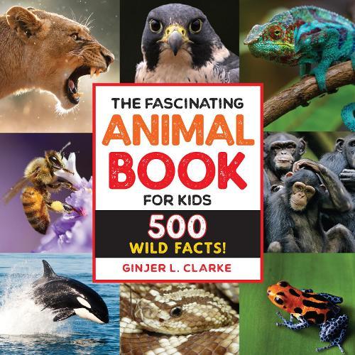 The Fascinating Animal Book for Kids: 500 Wild Facts!  by Ginjer Clarke at Abbey's Bookshop, 