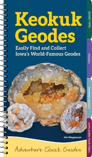 Monitoring środowiskowy demontażu pola naftowego