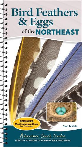 Bird Feathers & Eggs of the Northeast: Identify 40 Species of Common Backyard Birds  by Stan Tekiela at Abbey's Bookshop, 