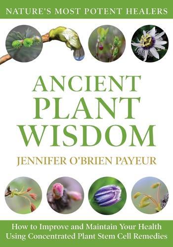 Ancient Plant Wisdom: How to Improve and Maintain Your Health Using Concentrated Plant Stem Cell Remedies  by Jennifer O'Brien Payeur at Abbey's Bookshop, 