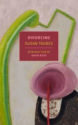 Divorcing  by Susan Taubes at Abbey's Bookshop, 