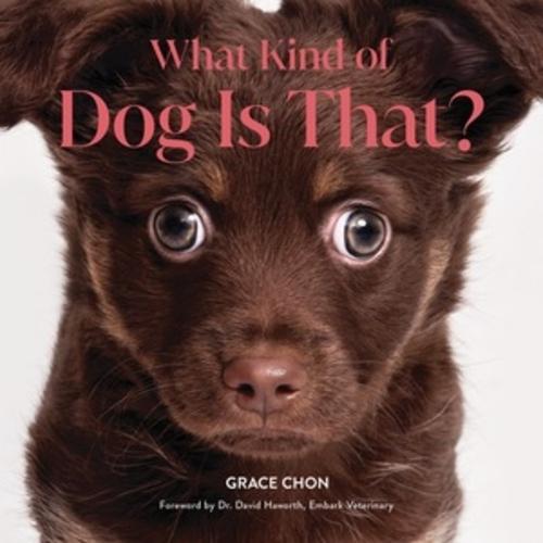 What Kind of Dog Is That?  by Grace Chon at Abbey's Bookshop, 