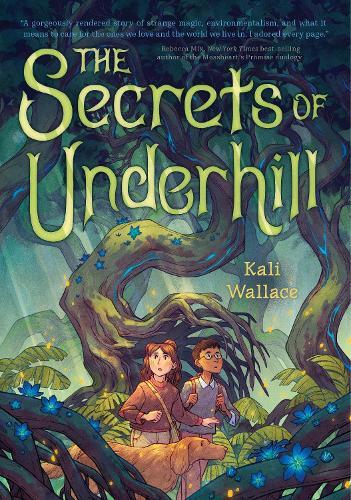 The Secrets of Underhill  by Kali Wallace at Abbey's Bookshop, 