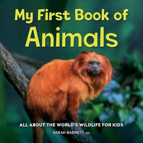 My First Book of Animals  by Sarah Barnett MA at Abbey's Bookshop, 