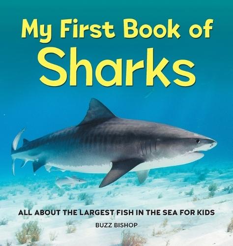 My First Book of Sharks  by Buzz Bishop at Abbey's Bookshop, 