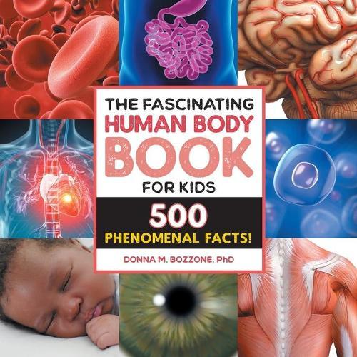 The Fascinating Human Body Book for Kids  by Donna M. Bozzone PhD at Abbey's Bookshop, 