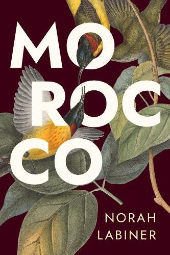 Morocco  by Norah Labiner at Abbey's Bookshop, 
