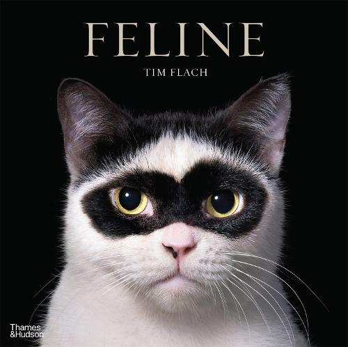Feline  by Tim Flach at Abbey's Bookshop, 