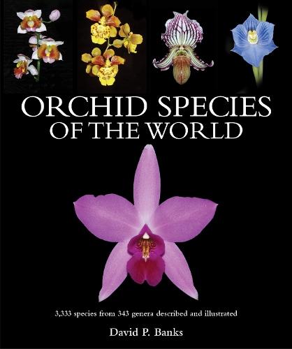 Orchid Species of the World: 3,333 species from 343 genera described and illustrated  by David P. Banks at Abbey's Bookshop, 