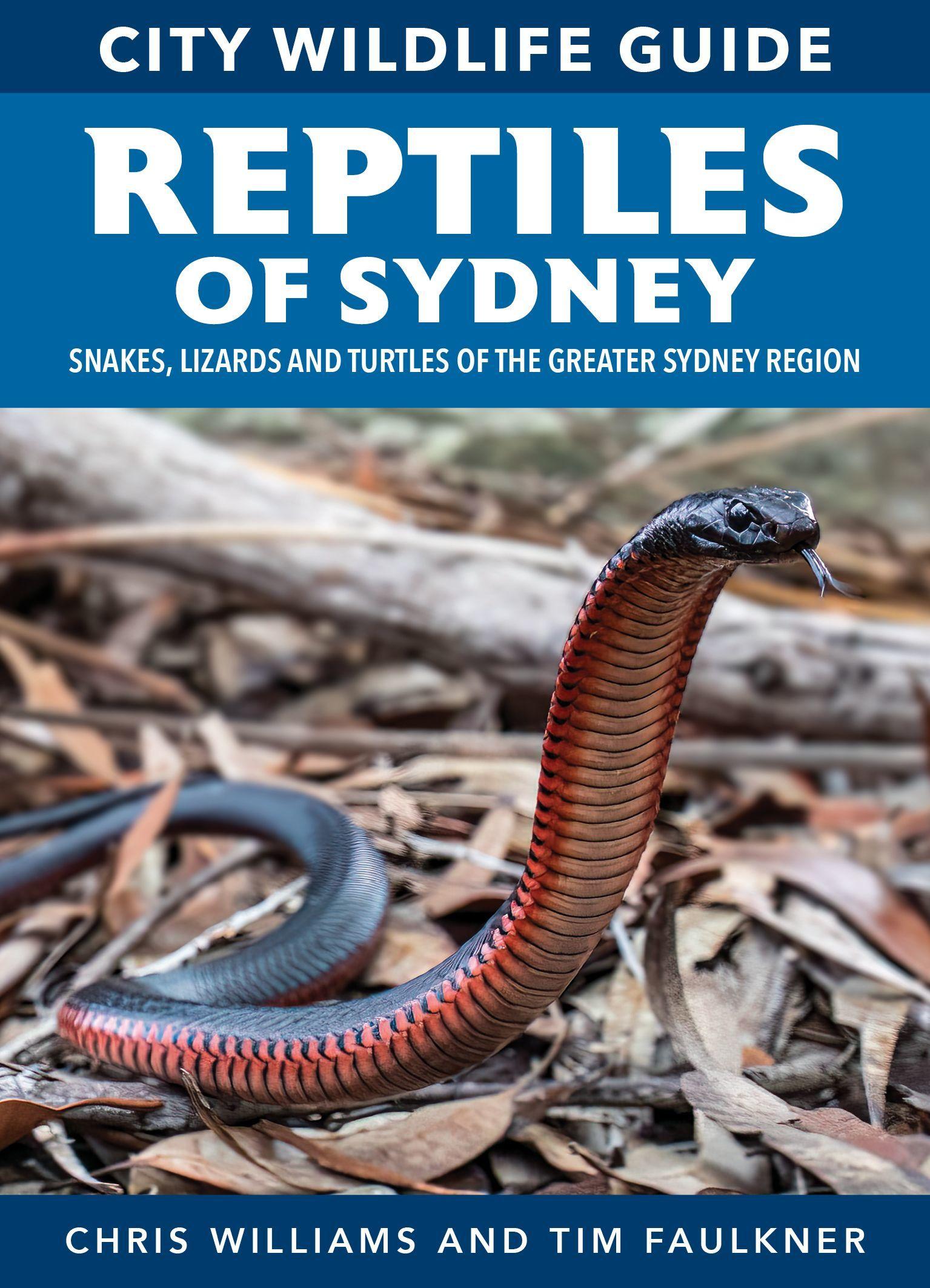 Reed Concise Guide: Snakes of Australia: Reed Concise Guide
