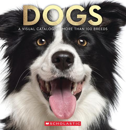 Dogs: A Visual Catalog Of More Than 100 Breeds  by Miranda Willis at Abbey's Bookshop, 