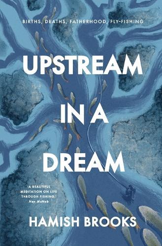 Upstream in a Dream: Births, deaths, fatherhood, fly fishing  by Hamish Brooks at Abbey's Bookshop, 