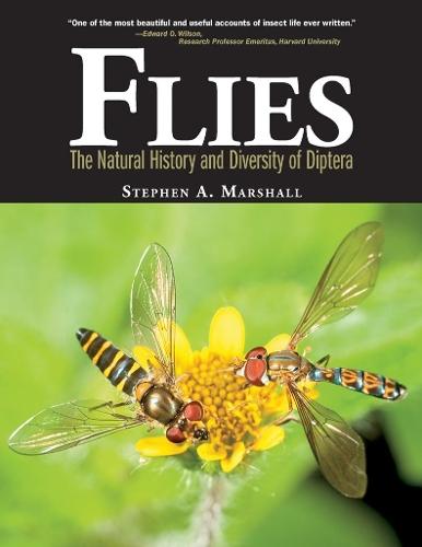 Flies: The Natural History and Diversity of Diptera  by Stephen A. Marshall at Abbey's Bookshop, 