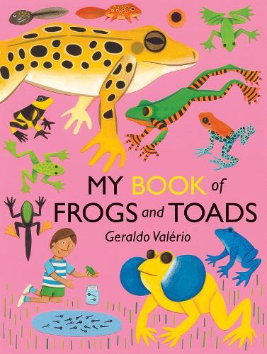My Book of Frogs and Toads  by Geraldo Valerio at Abbey's Bookshop, 