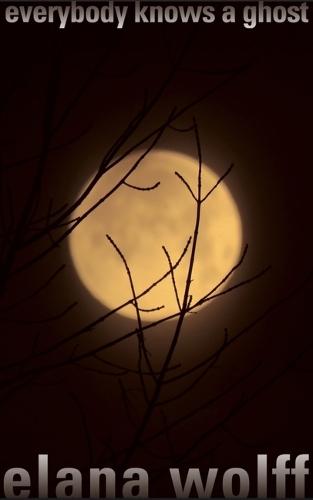 Everybody Knows a Ghost  by Elana Wolff at Abbey's Bookshop, 