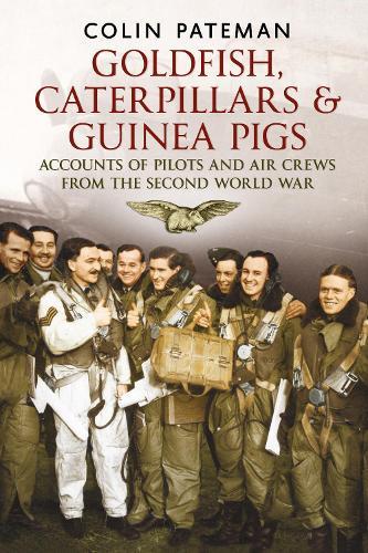 Goldfish Caterpillars & Guinea Pigs: Accounts of Pilots and Air Crews from World War II  by Colin Pateman at Abbey's Bookshop, 