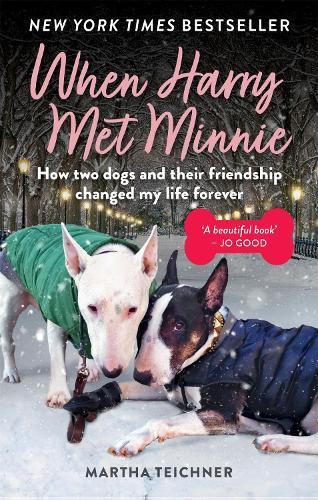 When Harry Met Minnie: An unexpected friendship and the gift of love beyond loss  by Martha Teichner at Abbey's Bookshop, 