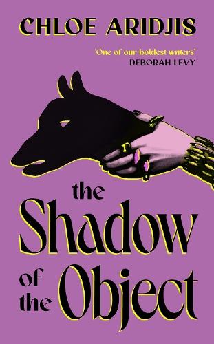 The Shadow of the Object  by Chloe Aridjis at Abbey's Bookshop, 