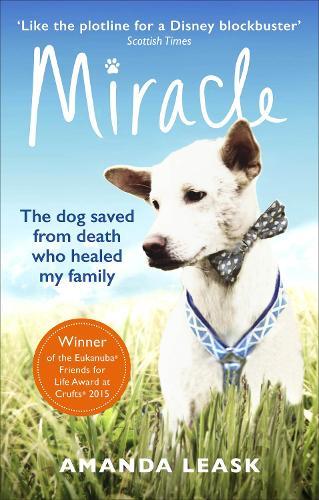 Miracle  by Amanda Leask at Abbey's Bookshop, 