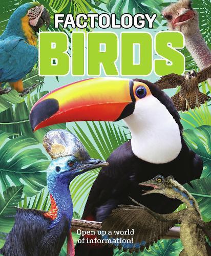 Factology: Birds: Open Up a World of Information!  at Abbey's Bookshop, 