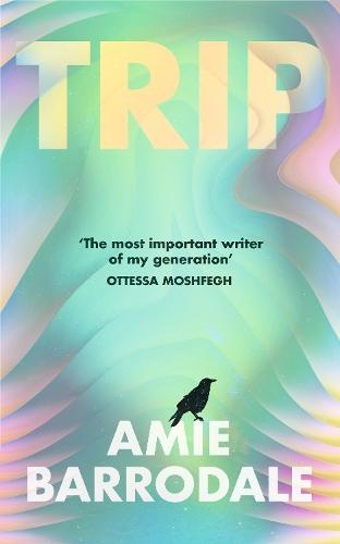 Trip  by Amie Barrodale at Abbey's Bookshop, 