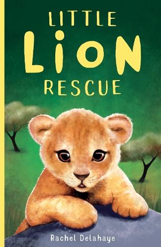 Little Lion Rescue  by Rachel Delahaye at Abbey's Bookshop, 