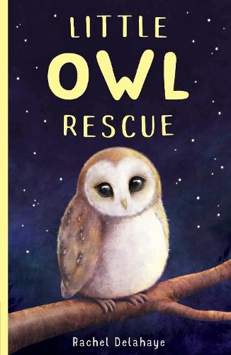 Little Owl Rescue  by Rachel Delahaye at Abbey's Bookshop, 