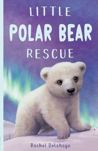Little Polar Bear Rescue  by Rachel Delahaye at Abbey's Bookshop, 