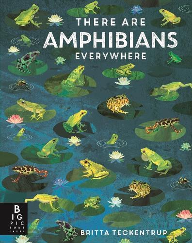 There Are Amphibians Everywhere  by Camilla De La Bedoyere at Abbey's Bookshop, 