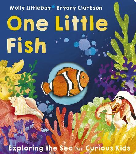 One Little Fish  by Molly Littleboy at Abbey's Bookshop, 