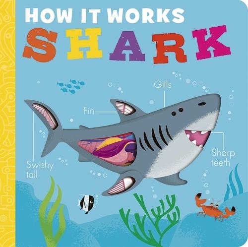 How it Works: Shark  by Molly Littleboy at Abbey's Bookshop, 