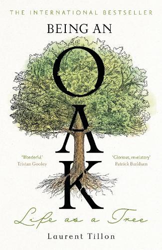 Being an Oak: Life as a tree  by Laurent Tillon at Abbey's Bookshop, 
