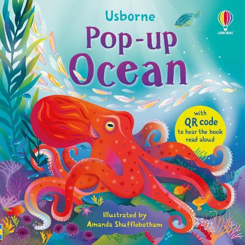 Pop-up Ocean  by Lizzie Cope at Abbey's Bookshop, 
