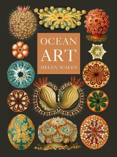 Ocean Art: From the Shore to the Deep  by Helen Scales at Abbey's Bookshop, 