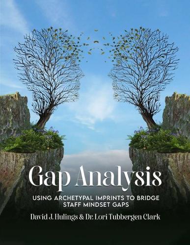 Gap Analysis: Using Archetypal Imprints to Bridge Staff Mindset Gaps  by David J Hulings at Abbey's Bookshop, 