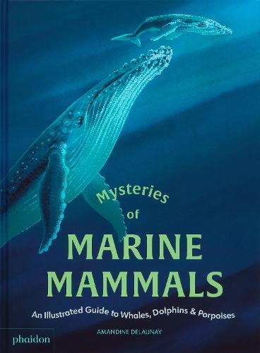 Mysteries of Marine Mammals: An Illustrated Guide to Whales, Dolphins, and Porpoises  by Amandine Delaunay at Abbey's Bookshop, 