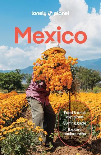 Lonely Planet Mexico  by Lonely Planet at Abbey's Bookshop, 