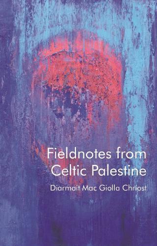 Fieldnotes from Celtic Palestine  by Diarmait Mac Giolla Chríost at Abbey's Bookshop, 