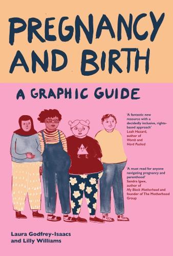 Pregnancy and Birth: A Graphic Guide  by Laura Godfrey-Isaacs at Abbey's Bookshop, 
