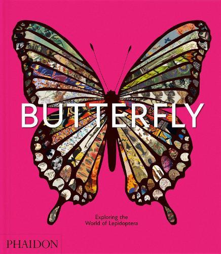 Butterfly: Exploring the World of Lepidoptera  by Phaidon Editors at Abbey's Bookshop, 