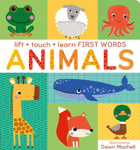 Lift, Touch Learn First Words: Animals  by Villetta Craven at Abbey's Bookshop, 