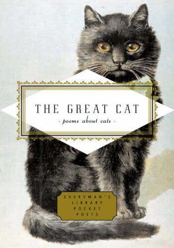 The Great Cat  by Emily Fragos at Abbey's Bookshop, 