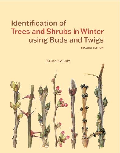 Identification of Trees and Shrubs in Winter using Buds and Twigs  by Bernd Schulz at Abbey's Bookshop, 