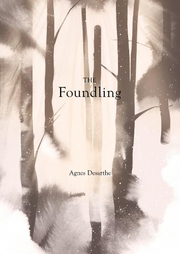 The Foundling  by Agnes Desarthe at Abbey's Bookshop, 
