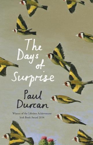 The Days of Surprise  by Paul Durcan at Abbey's Bookshop, 