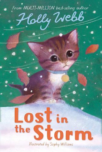 Lost in the Storm  by Holly Webb at Abbey's Bookshop, 